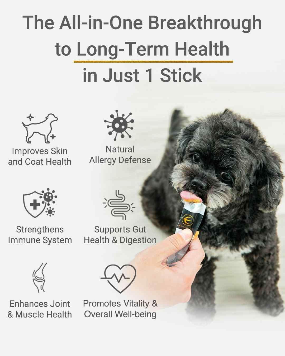 MIRANEST Jelly Stick for Dog - 30 Packs