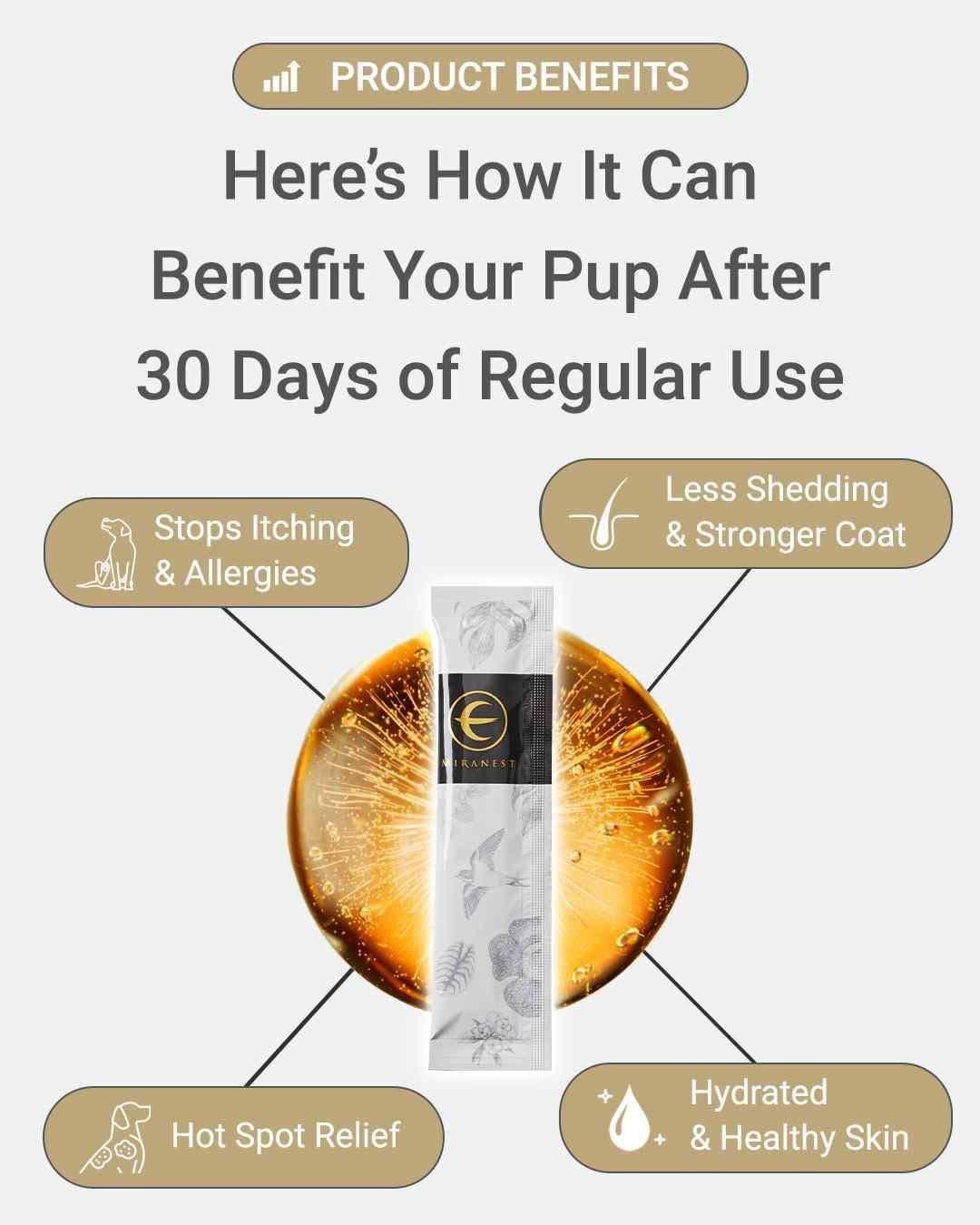 MIRANEST Jelly Stick for Dog - 30 Packs