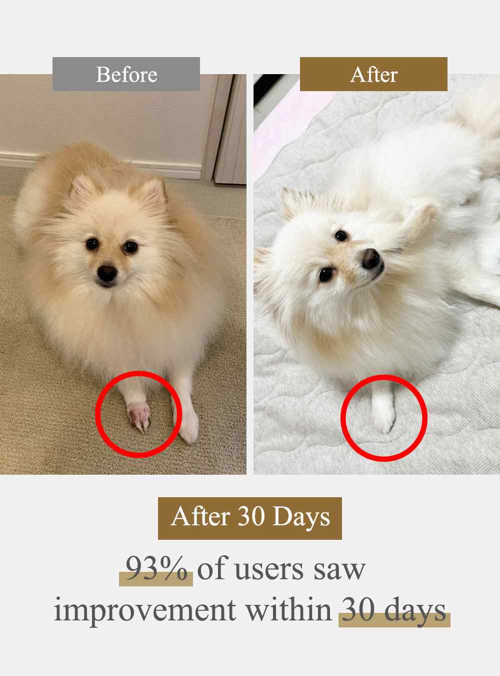 MIRANEST Paw Care Cream for Dog & Cat - 0.7 oz (20g) + Supplement Powder - 0.9 oz (25g)