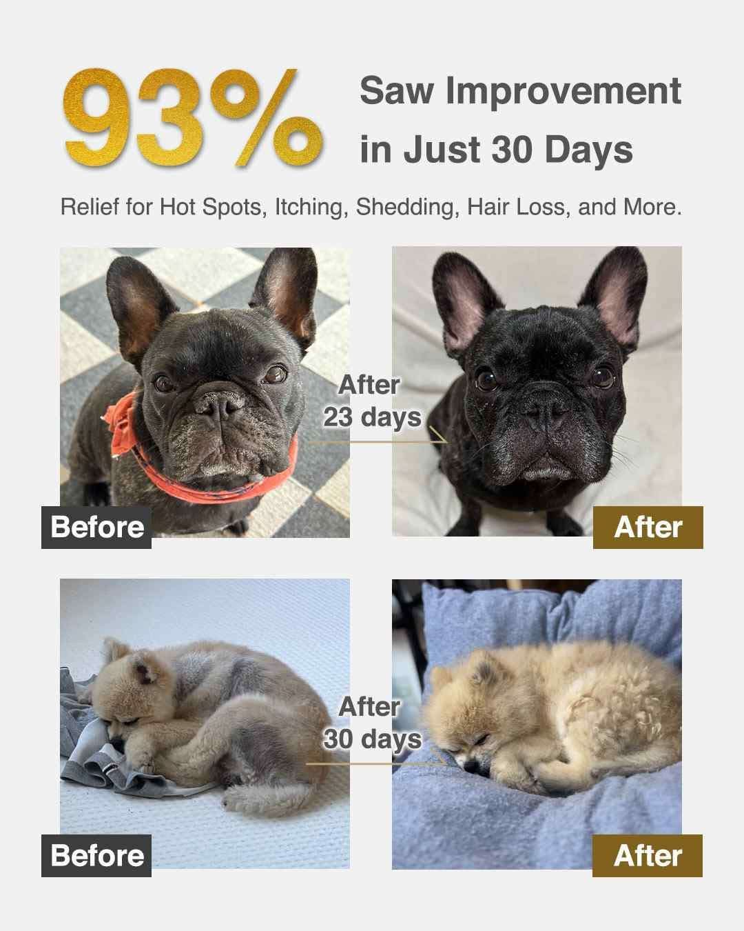 MIRANEST Powder for Dog 30pcs