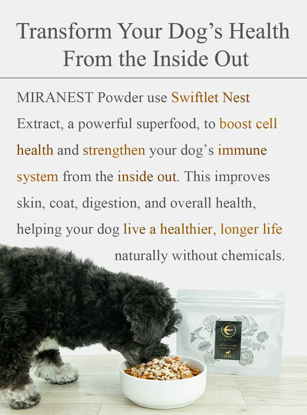 MIRANEST Powder for Dog - 3.5 oz (100g) + Supplement Powder - 0.9 oz (25g)