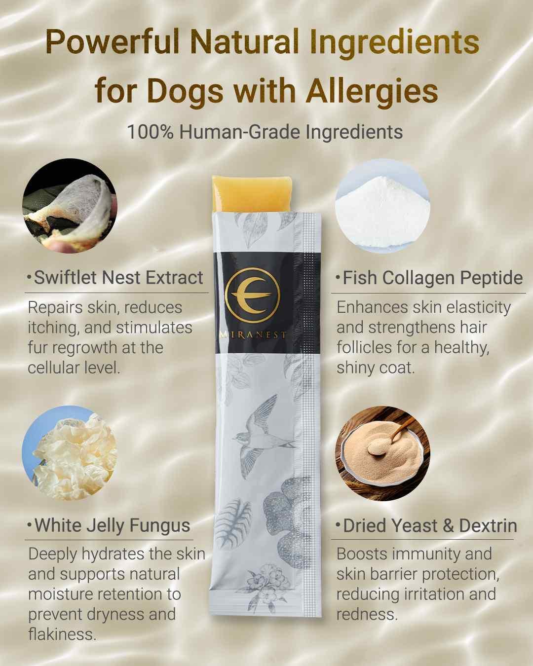 MIRANEST Jelly Stick for Dog - 30 Packs