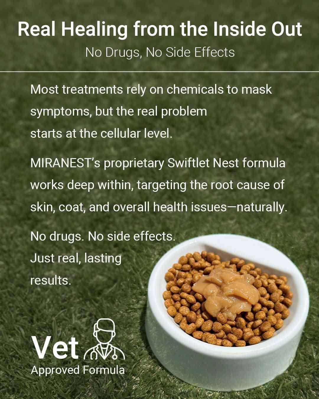 MIRANEST Jelly Stick for Dog - 30 Packs