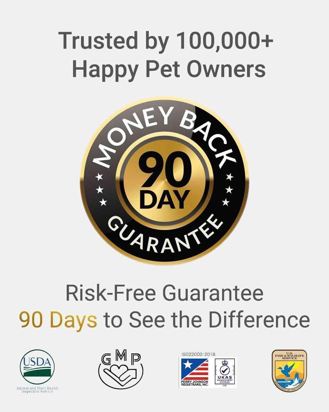 MIRANEST Jelly Stick for Dog - 30 Packs + Free Gift