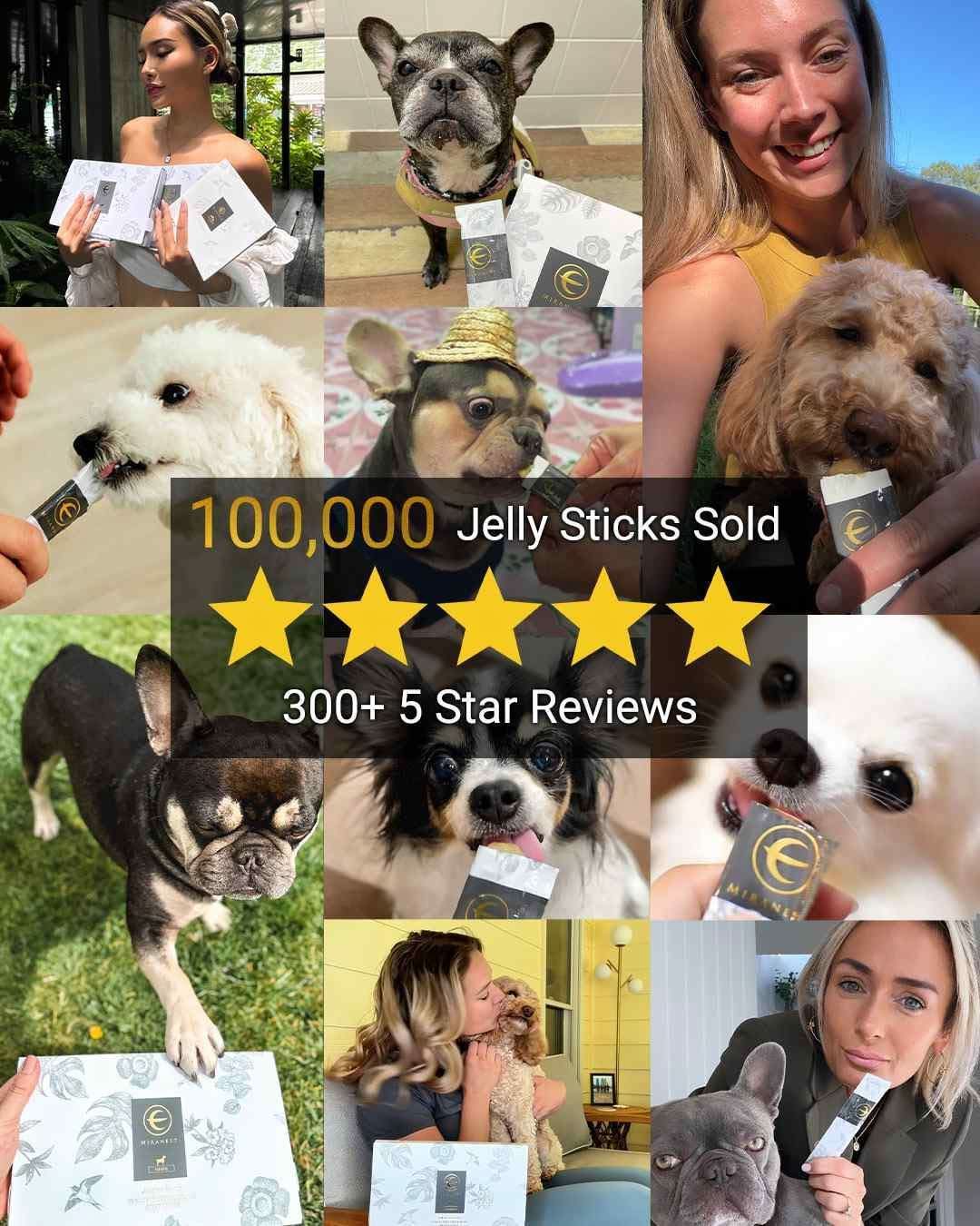 MIRANEST Jelly Stick for Dog - 30 Packs