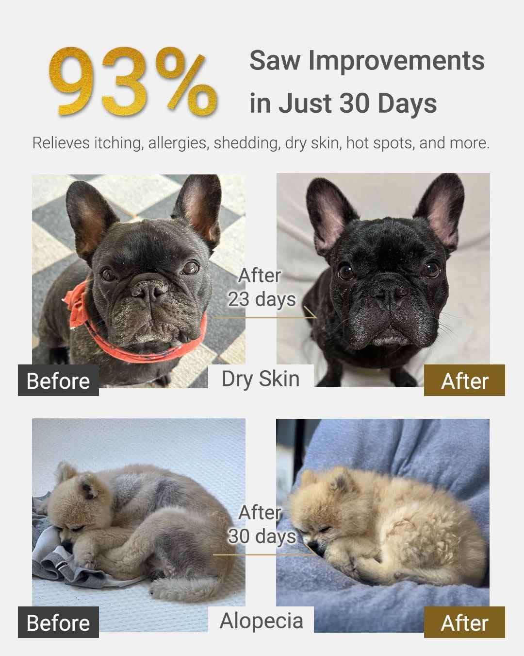 MIRANEST Jelly Stick for Dog - 30 Packs + Free Gift