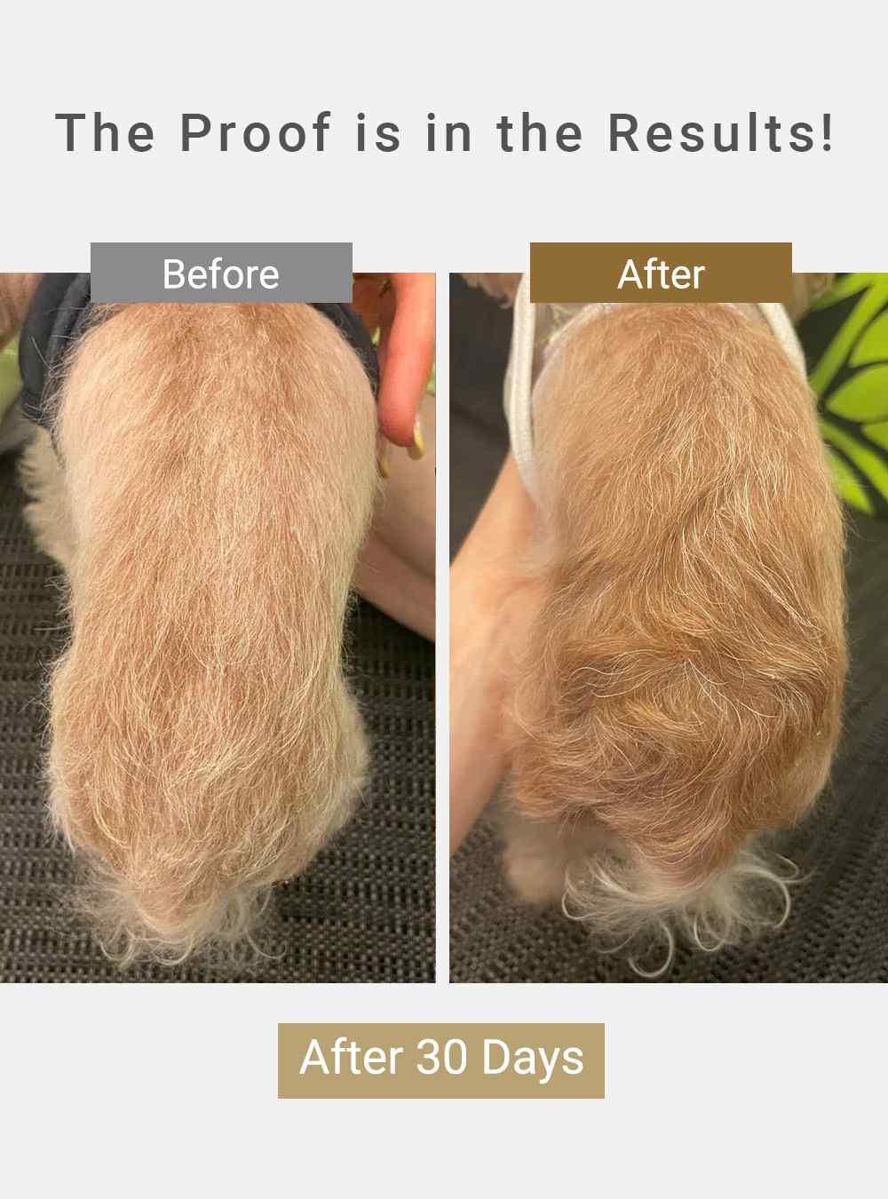 MIRANEST Shampoo for Dog & Cat - 4 fl oz (120ml) + Free Gift