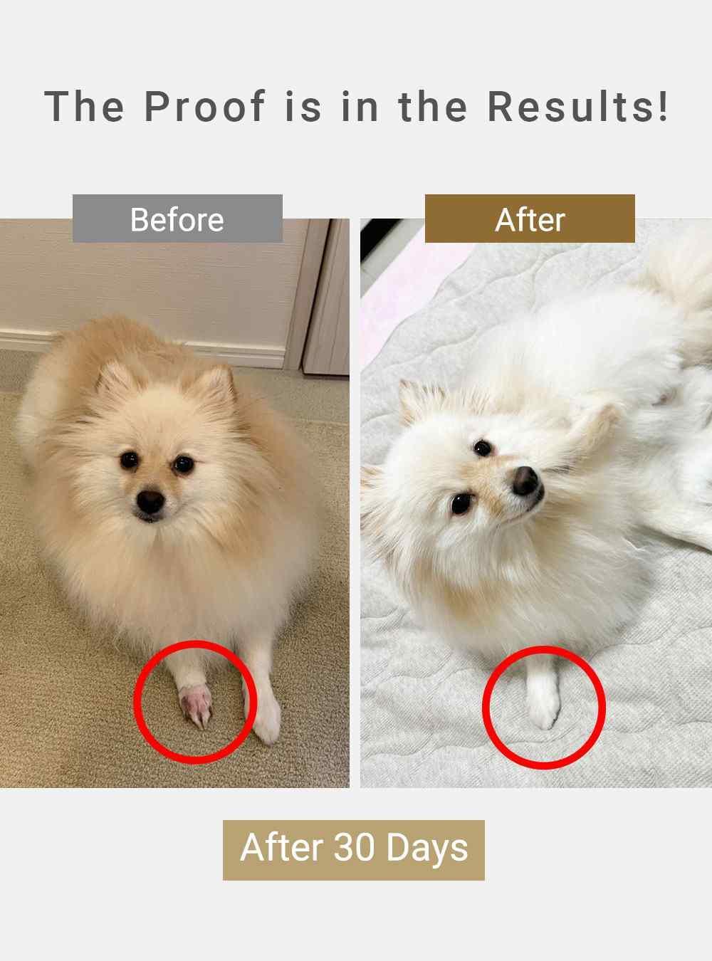 MIRANEST Paw Care Cream for Dog & Cat - 0.7 oz (20g) + Free Gift