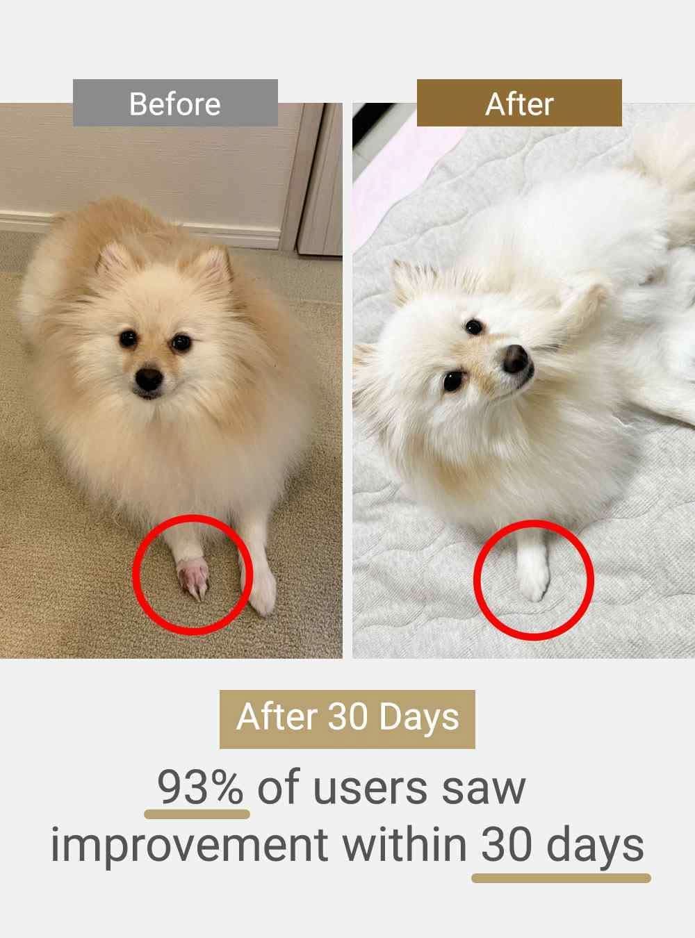 MIRANEST Paw Care Cream for Dog & Cat - 0.7 oz (20g)