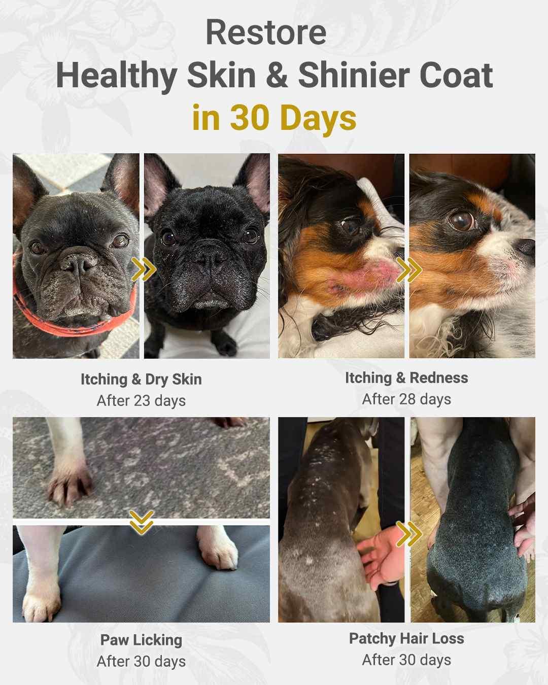 MIRANEST Jelly Stick for Dog - 30 Packs