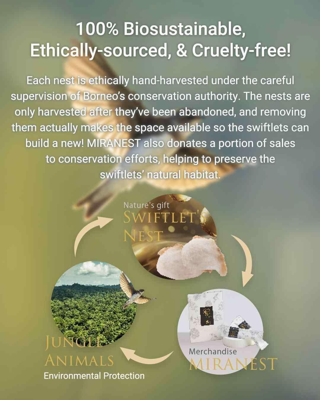 MIRANEST Jelly Stick for Dog - 30 Packs + Free Gift