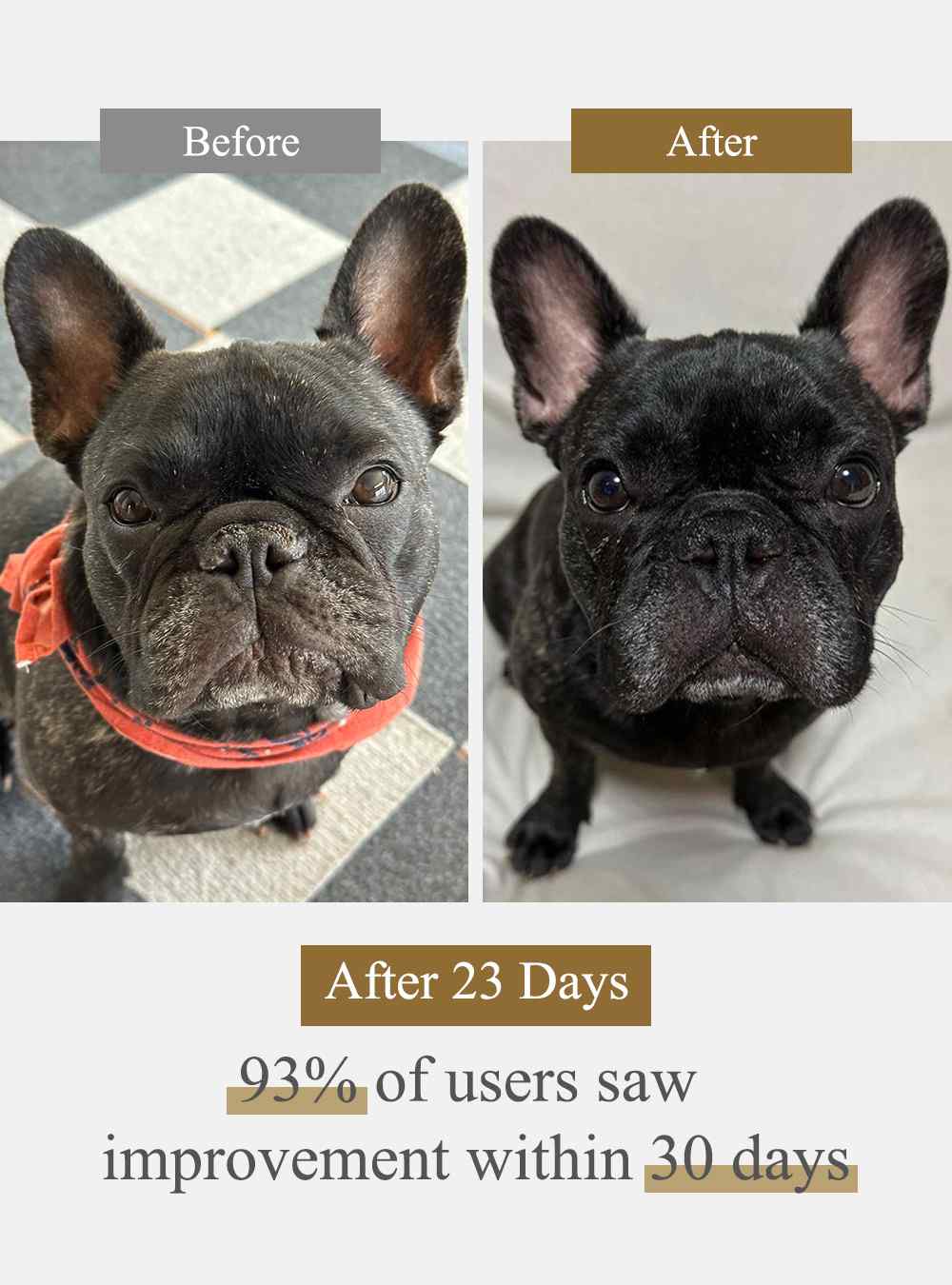 MIRANEST Powder for Dog - 3.5 oz (100g) + Supplement Powder - 0.9 oz (25g)