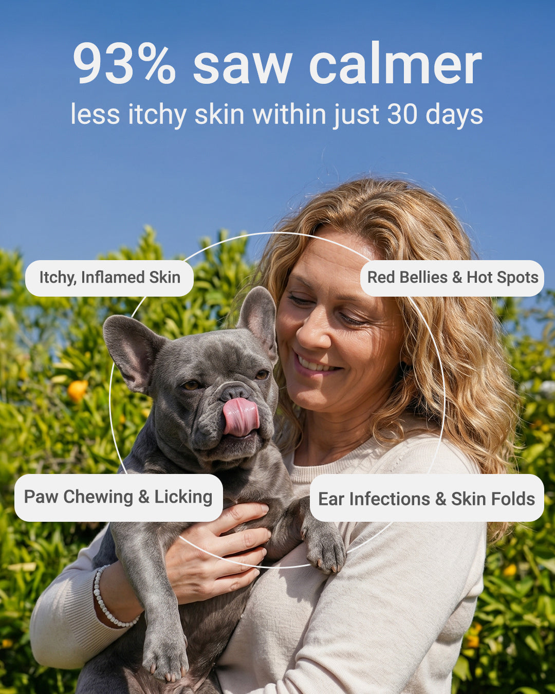 MIRANEST Jelly Stick for Dog - 30 Packs