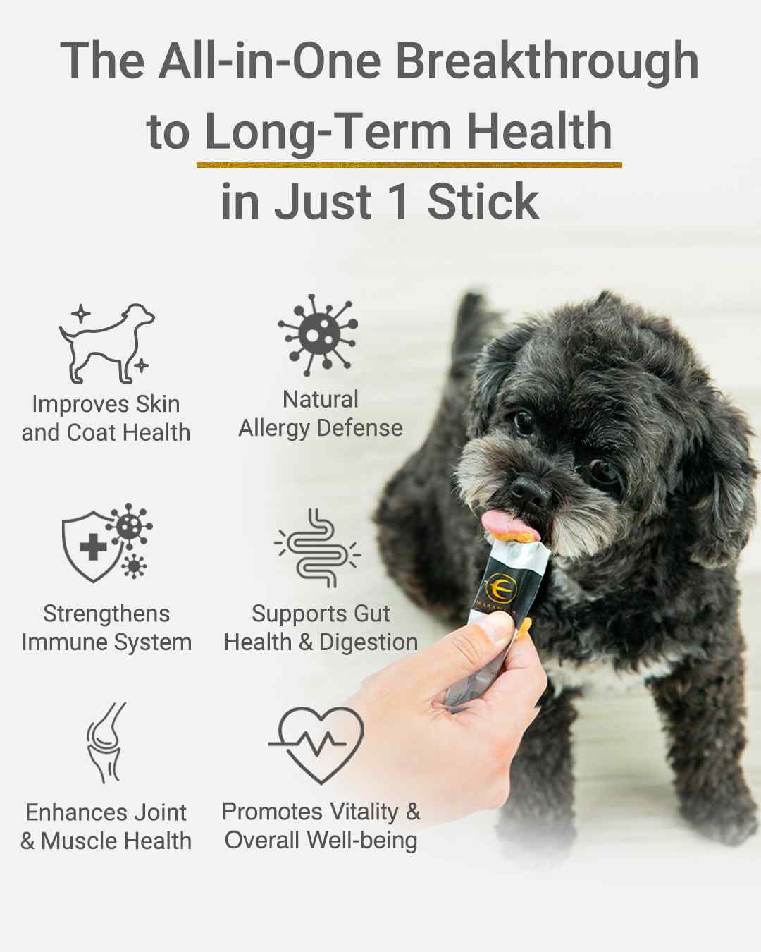 MIRANEST Jelly Stick for Dog - 30 Pack