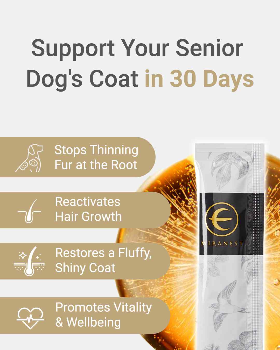 MIRANEST Jelly Stick for Dog - 30 Packs