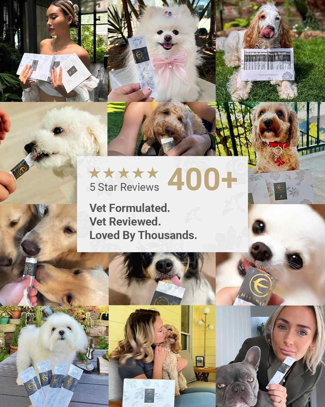 MIRANEST Jelly Stick for Dog - 30 Packs