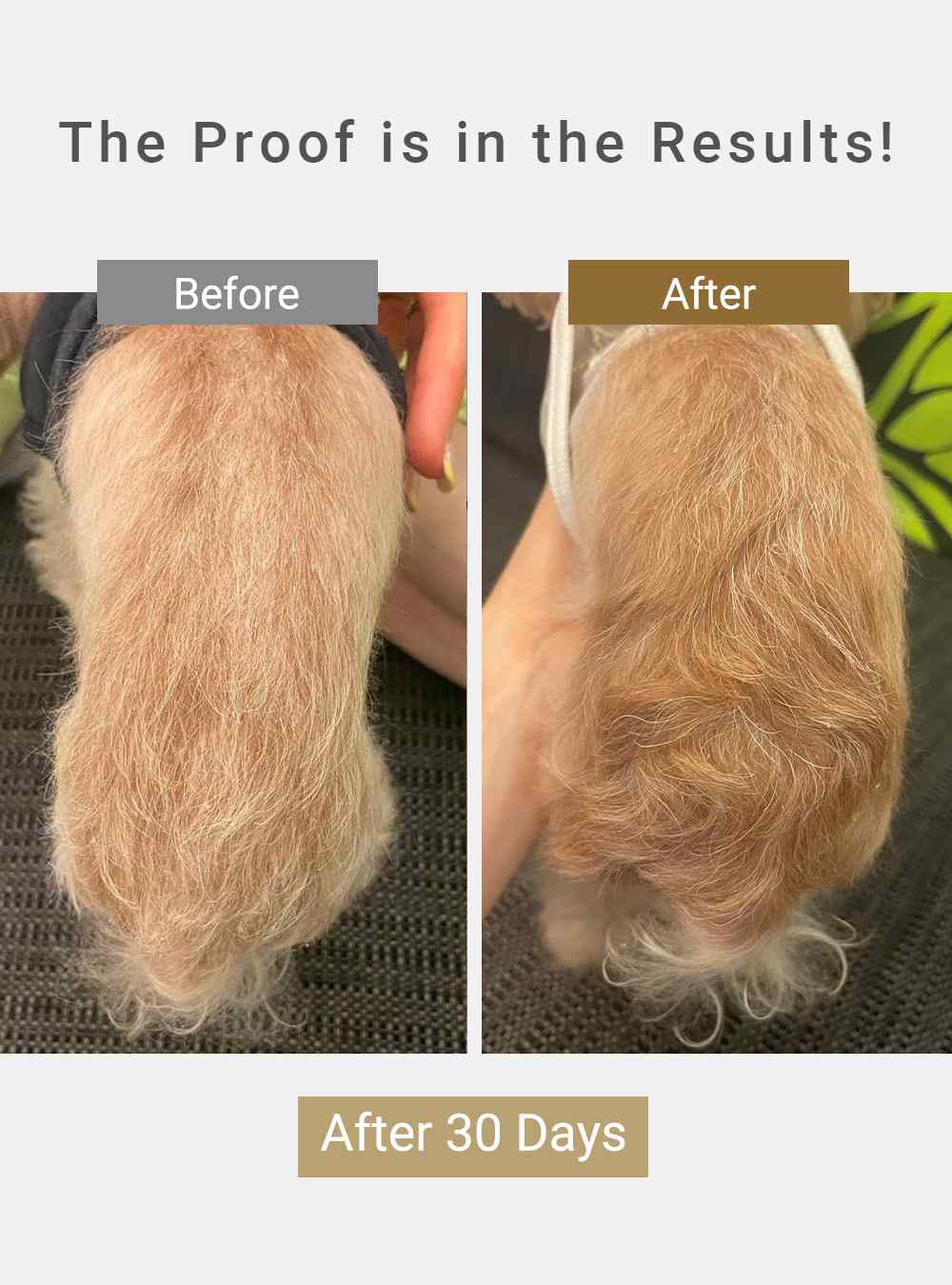 MIRANEST Shampoo for Dog & Cat - 4 fl oz (120ml)