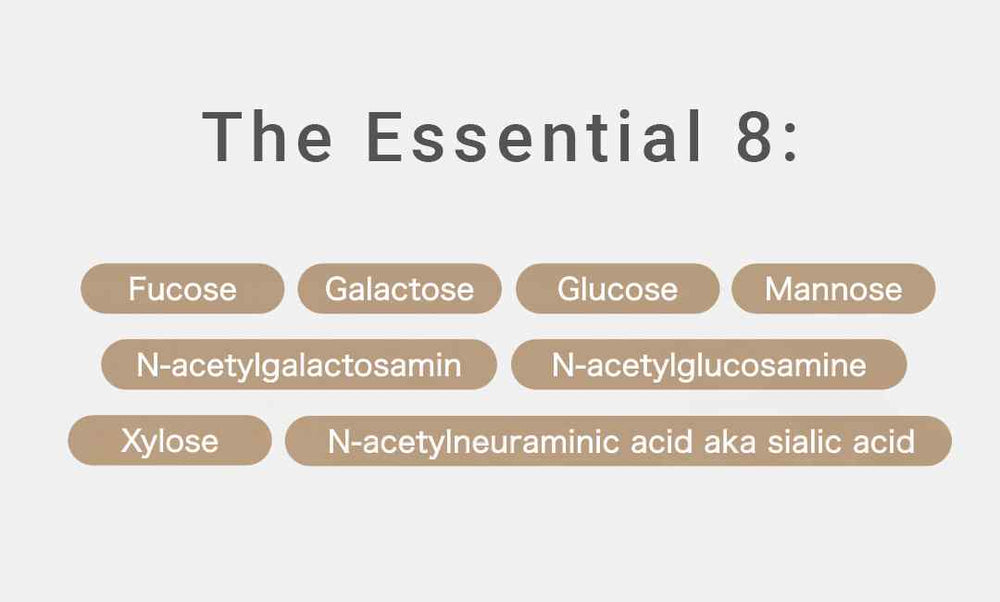 Glykonährstoffe in der Tierernährung