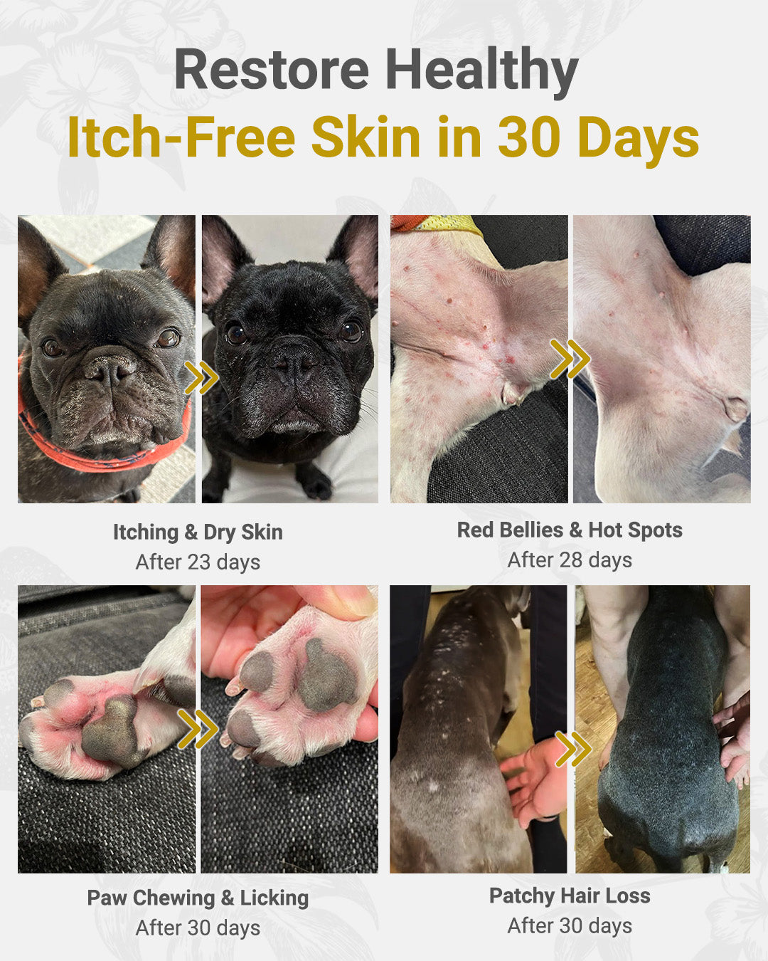 MIRANEST Jelly Stick for Dog - 30 Packs