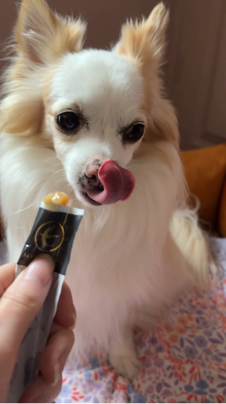 Morty