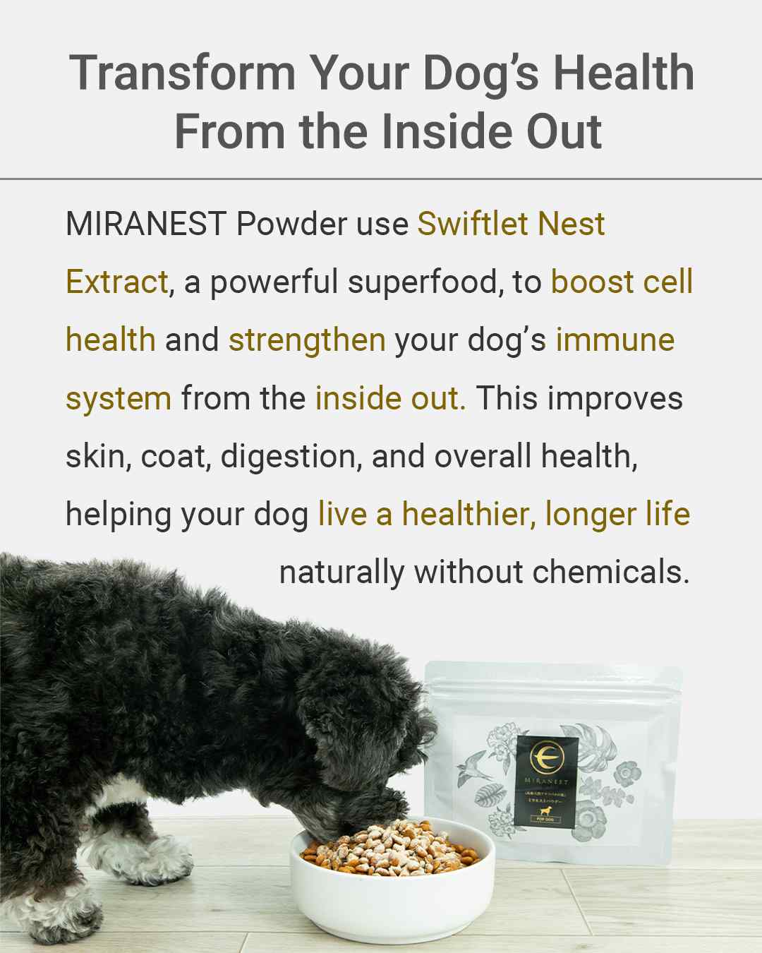 MIRANEST Powder for Dog - 3.5 oz (100g)