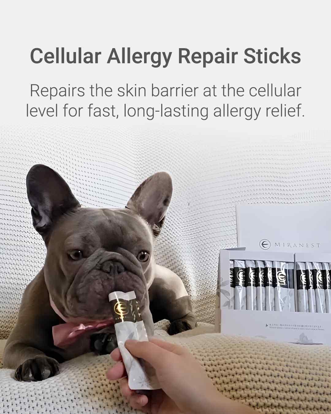 MIRANEST Jelly Stick for Dog - 30 Packs