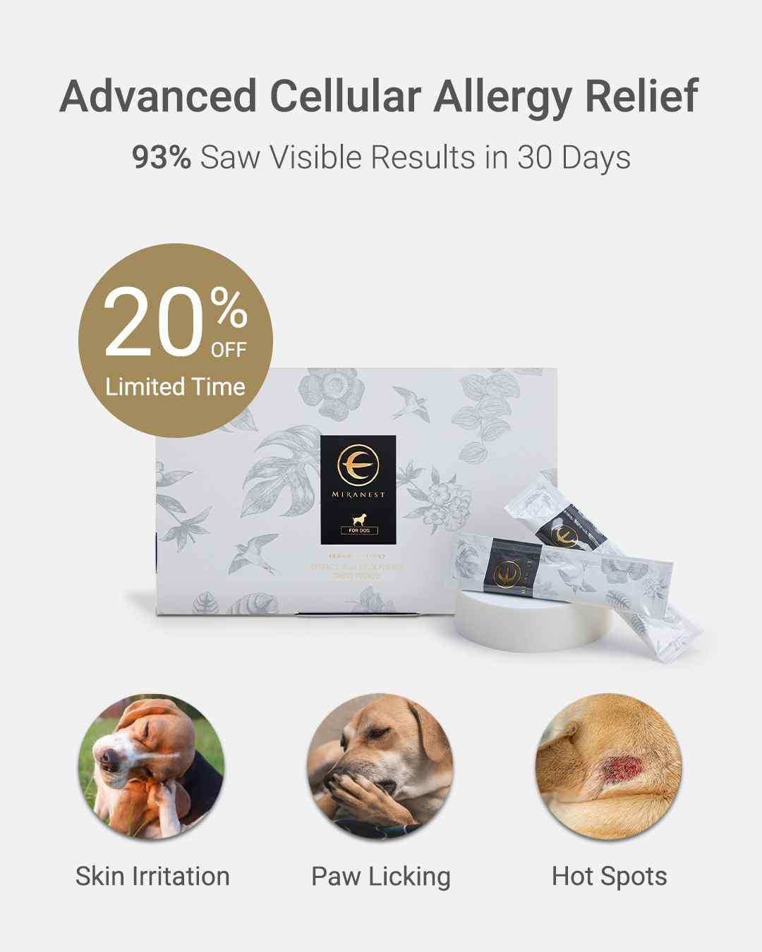 MIRANEST Jelly Stick for Dog - 30 Packs