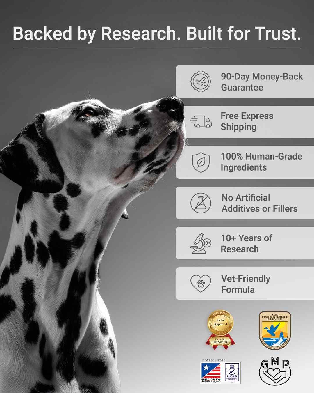 MIRANEST Jelly Stick for Dog - 30 Packs