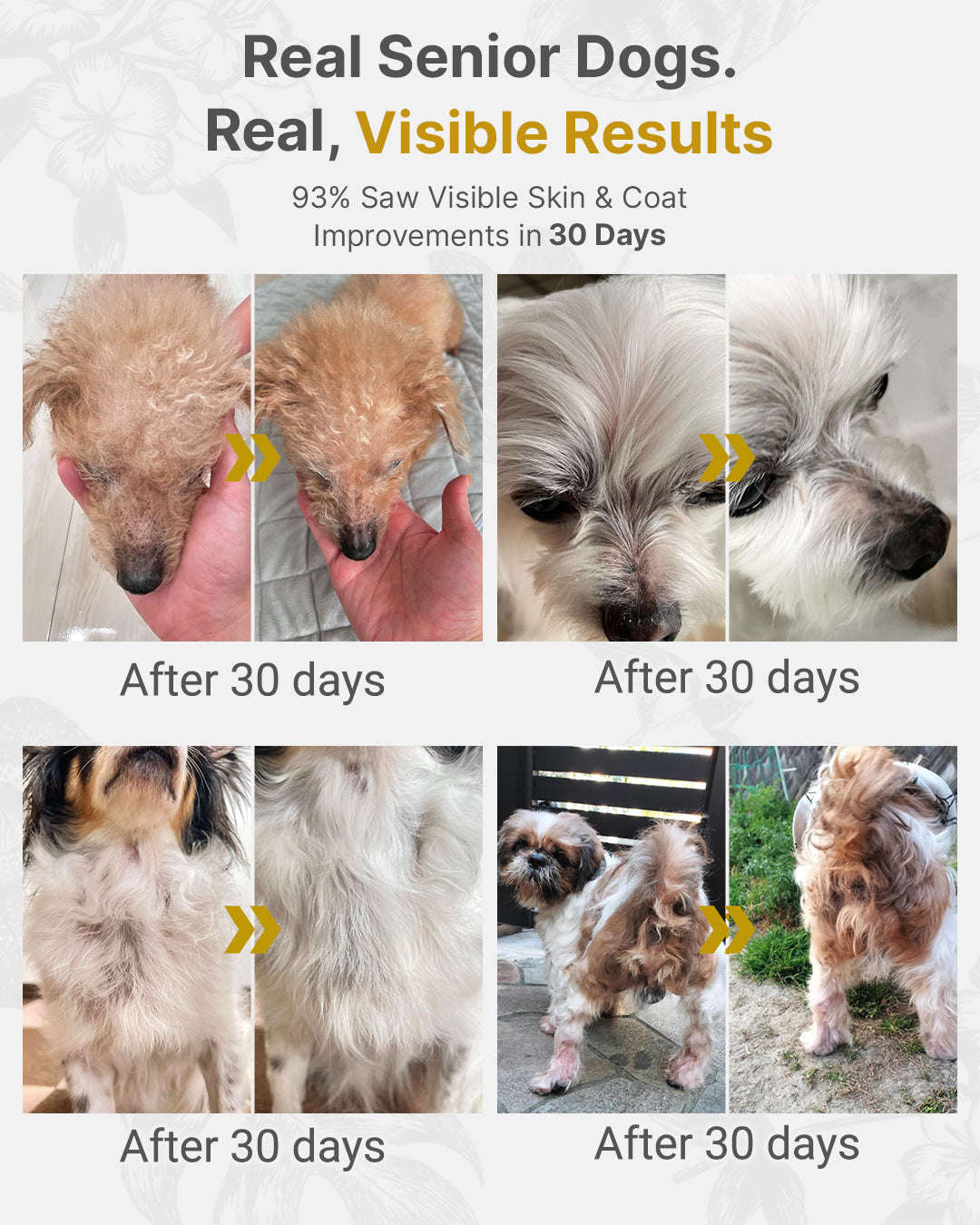 MIRANEST Jelly Stick for Dog - 30 Packs