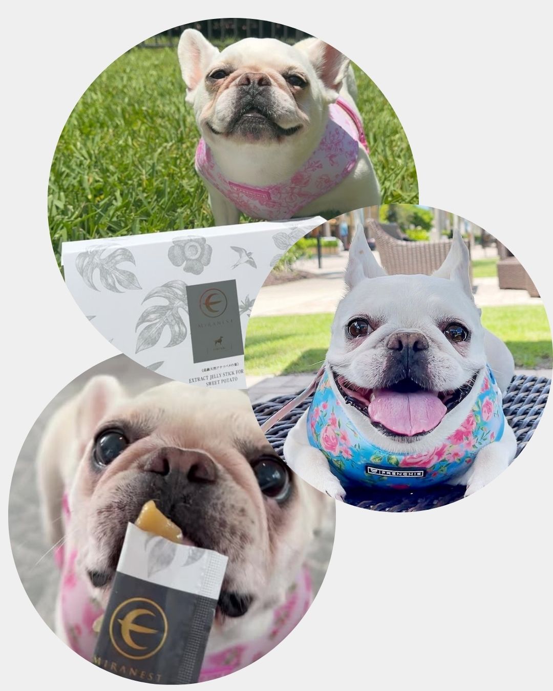 Lola