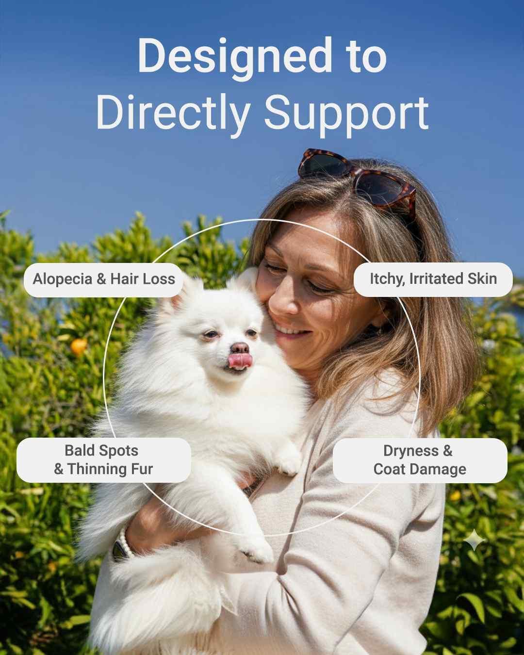 MIRANEST Jelly Stick for Dog - 30 Packs