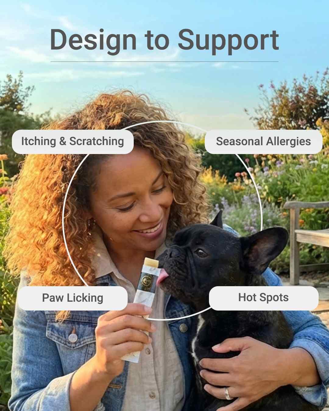 MIRANEST Jelly Stick for Dog - 30 Packs