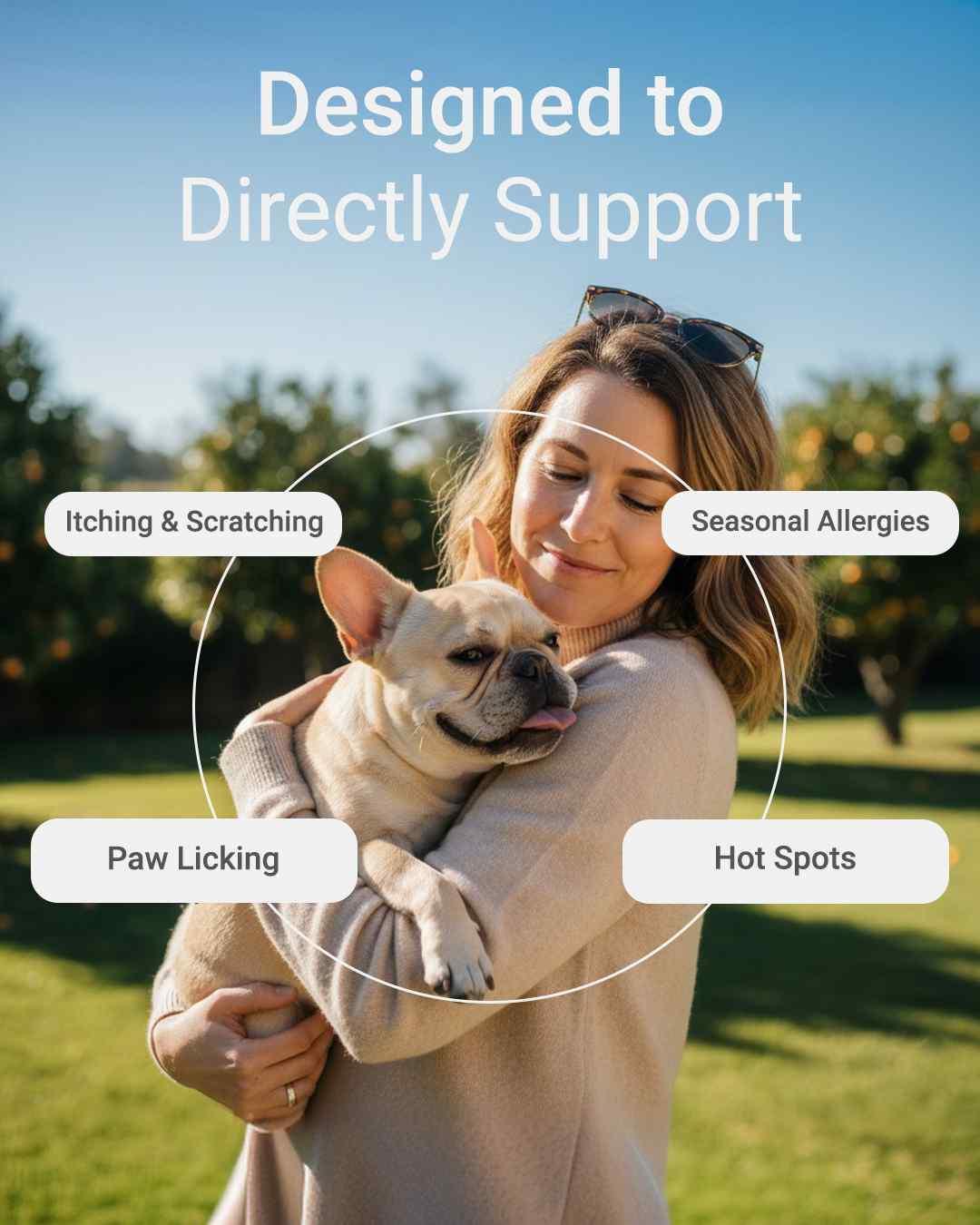 MIRANEST Jelly Stick for Dog - 30 Packs